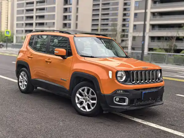 Jeep Freeman 2019