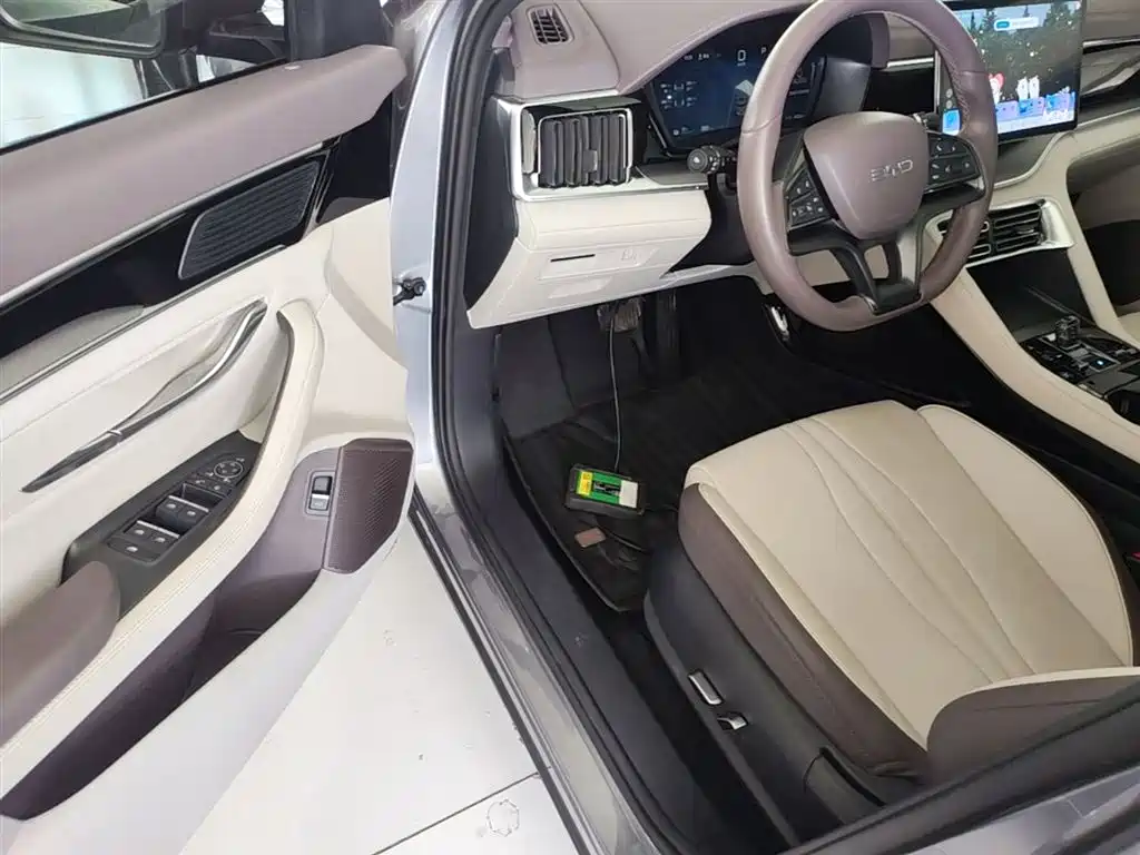 BYD PLUS New Energy 2024 — фото 12
