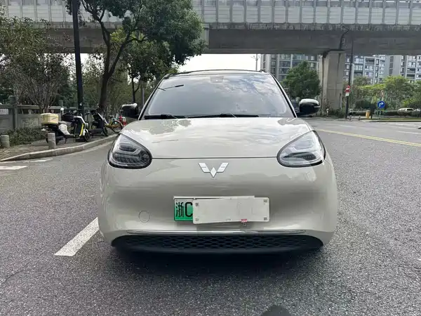 Wuling Bingo 2024