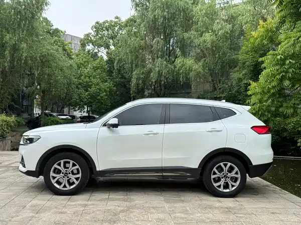 Haval H6 2021