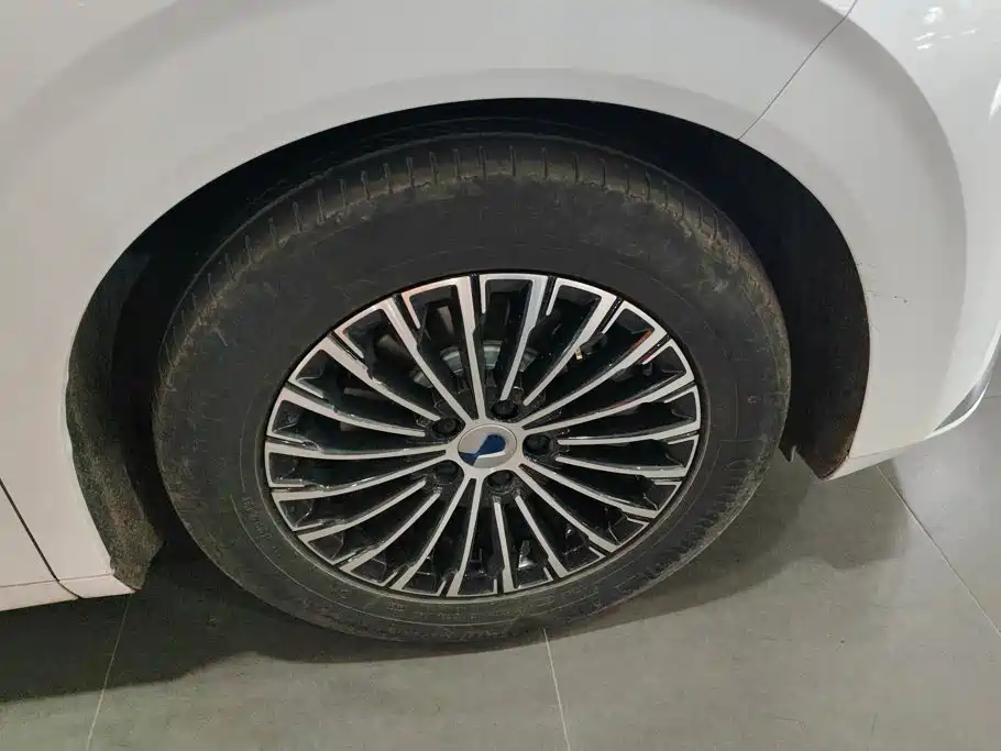 Denza D9 2024