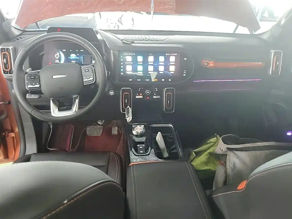 Haval Big Dog 2020 — фото 10