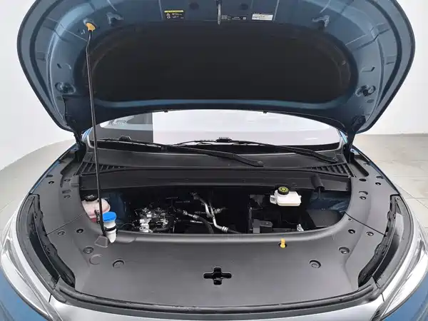 BYD Yuan PLUS 2022