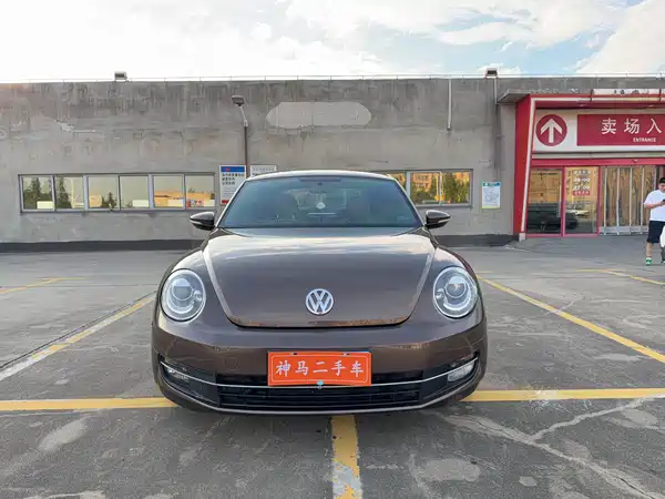 Volkswagen Beetle 2014