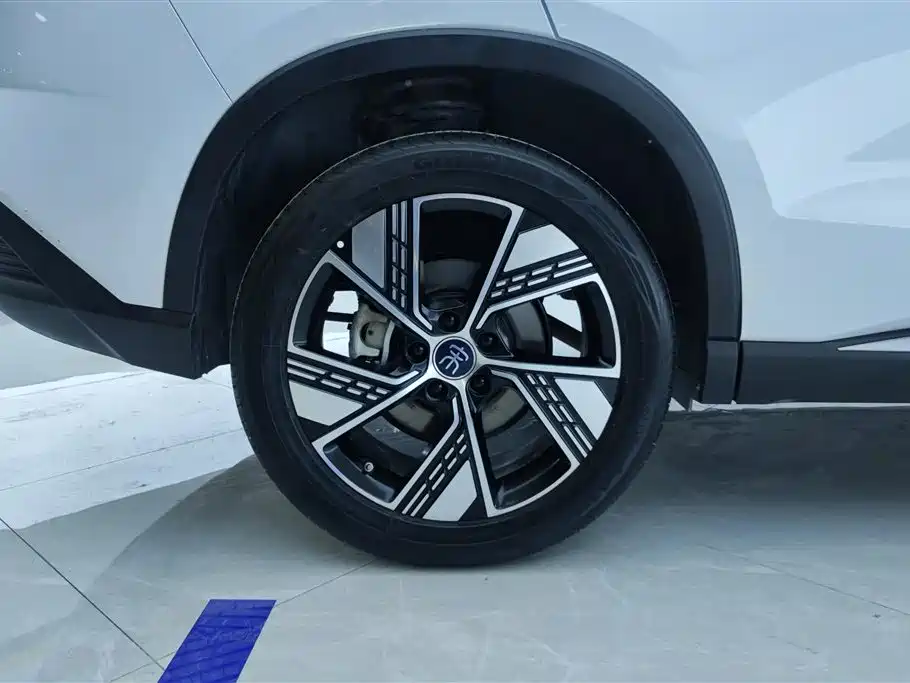 BYD Pro New Energy 2024 — фото 6
