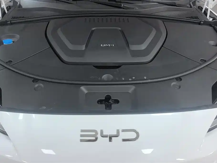 BYD PLUS New Energy 2025 — фото 10