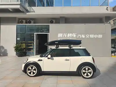MINI MINI 2013