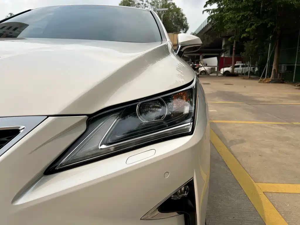 Lexus RX 2016 — фото 19