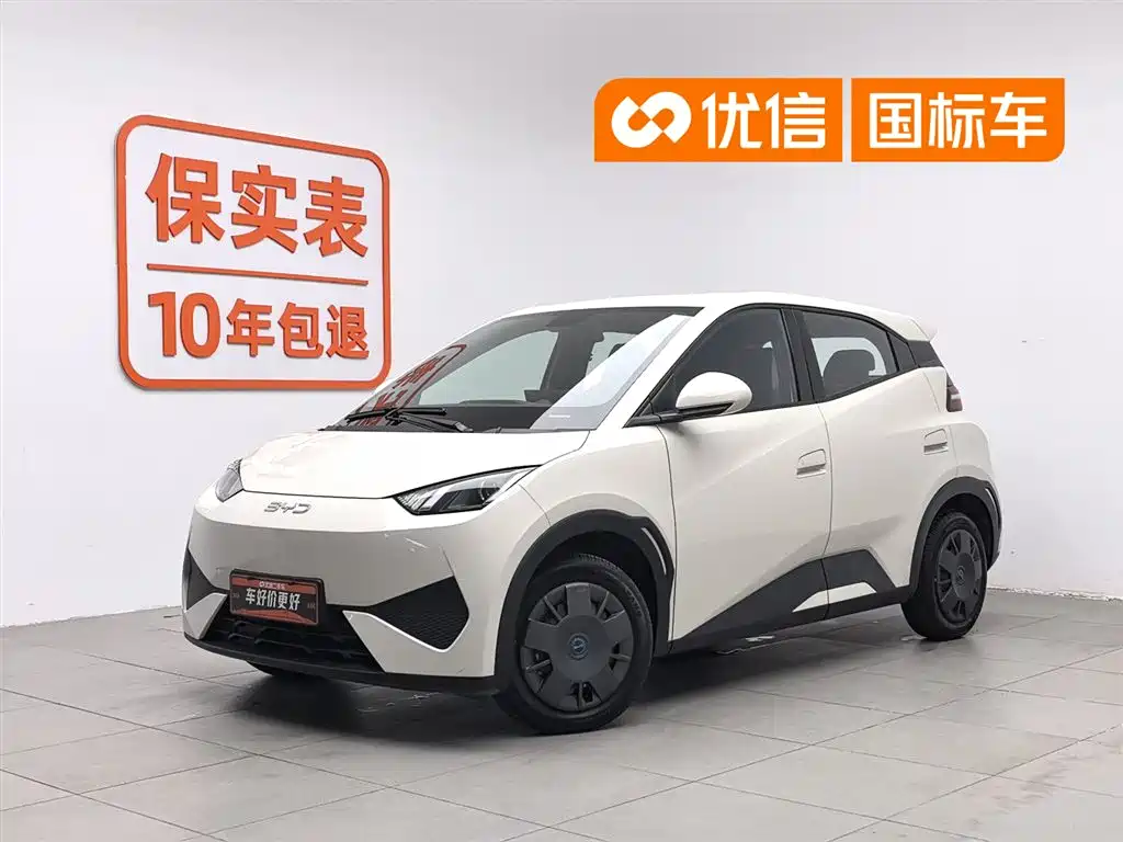 BYD Seagull 2025
