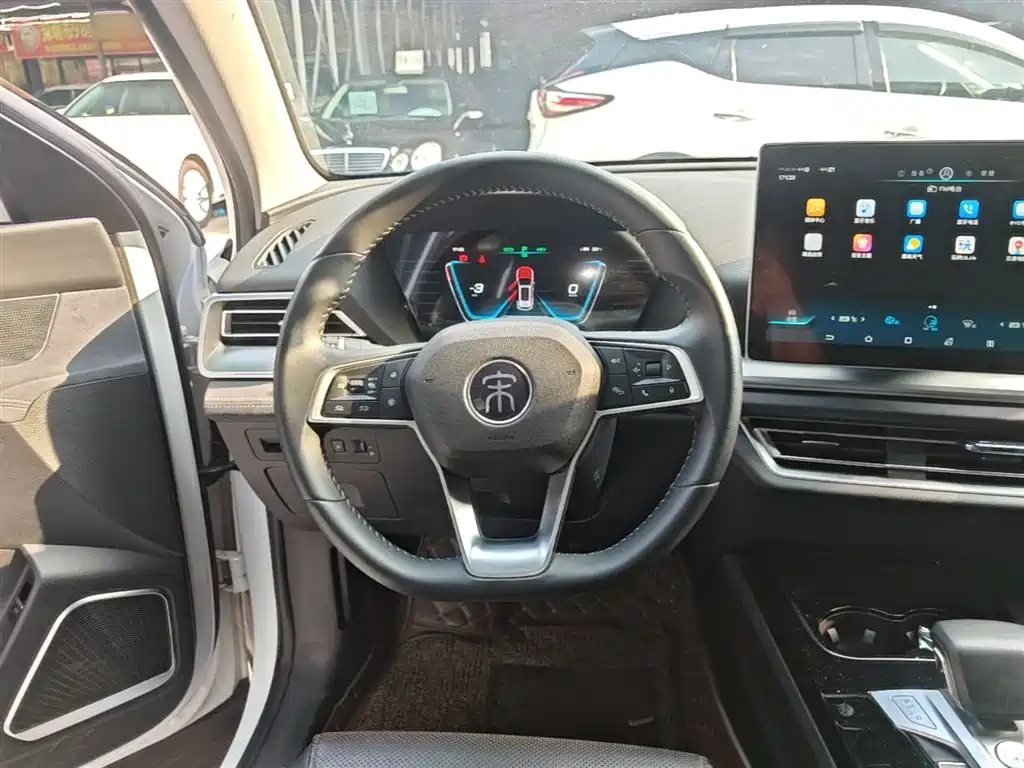 BYD Pro New Energy 2020 — фото 11