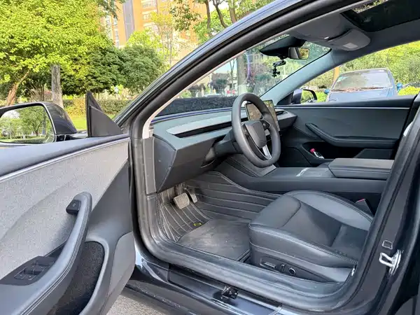 Tesla Model 3 2025