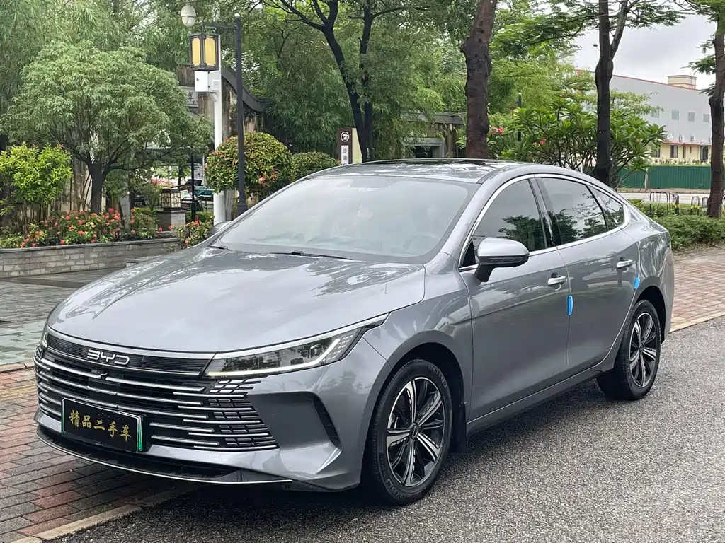 BYD Destroyer 05 2024 — фото 1