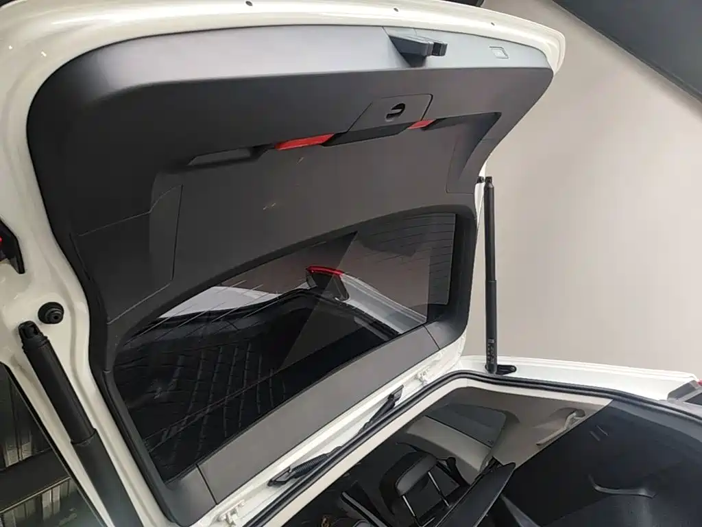 Volkswagen Tiguan L PHEV 2024 — фото 19