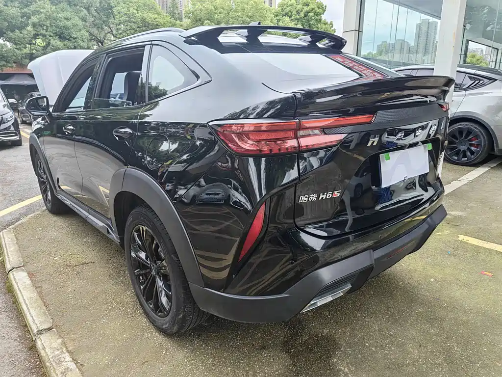 Haval H6S 2022 — фото 20