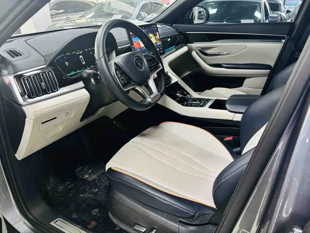BYD PLUS New Energy 2023 — фото 4