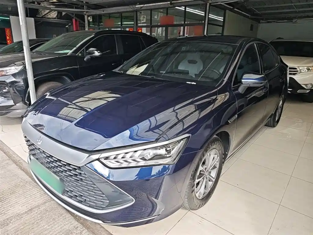 BYD Qin PLUS 2024 — фото 1
