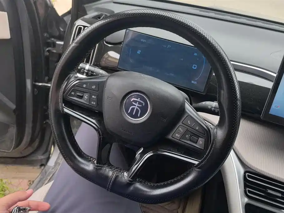 BYD Pro New Energy 2024 — фото 15