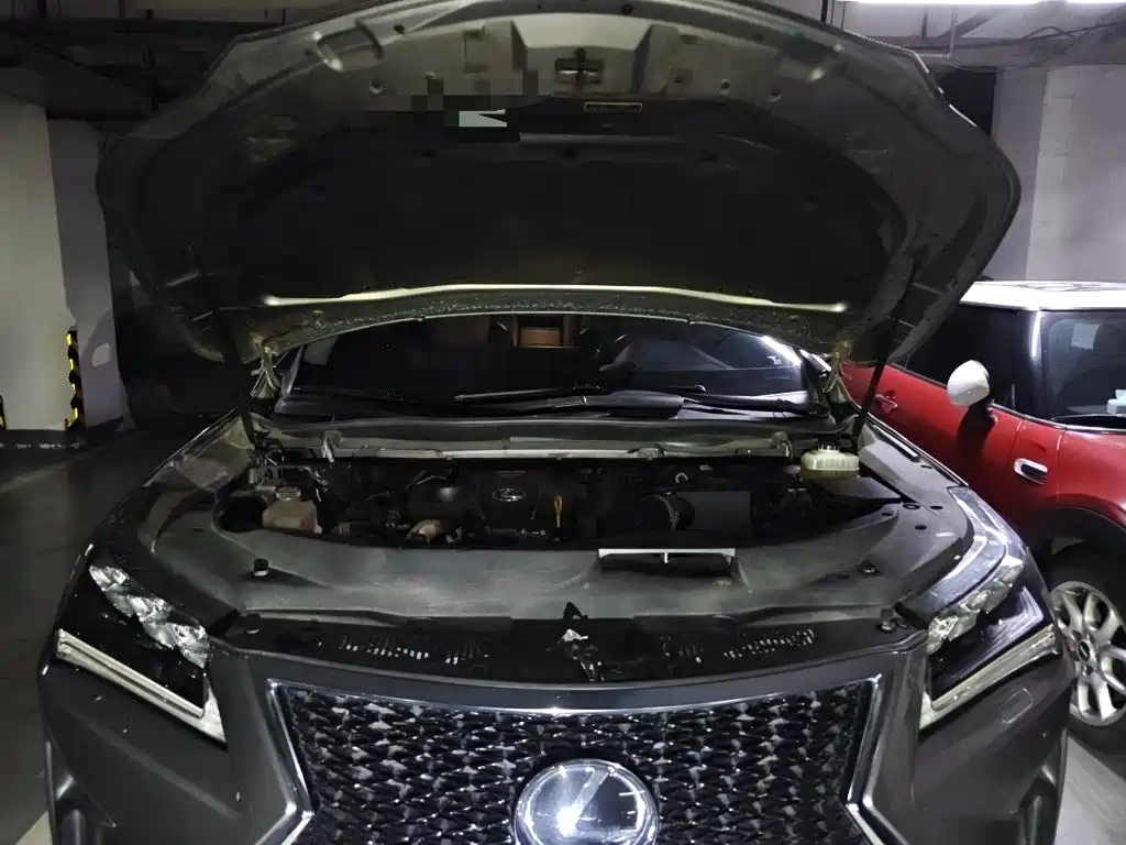 Lexus RX 2017 — фото 11