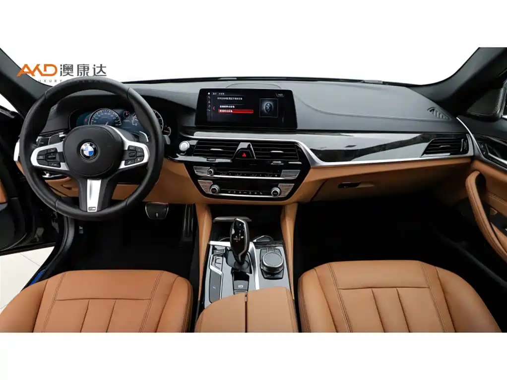BMW 5 Series 2018 — фото 5
