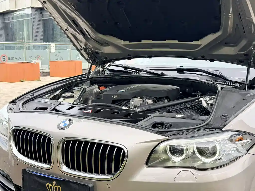 BMW 5 Series 2016 — фото 29
