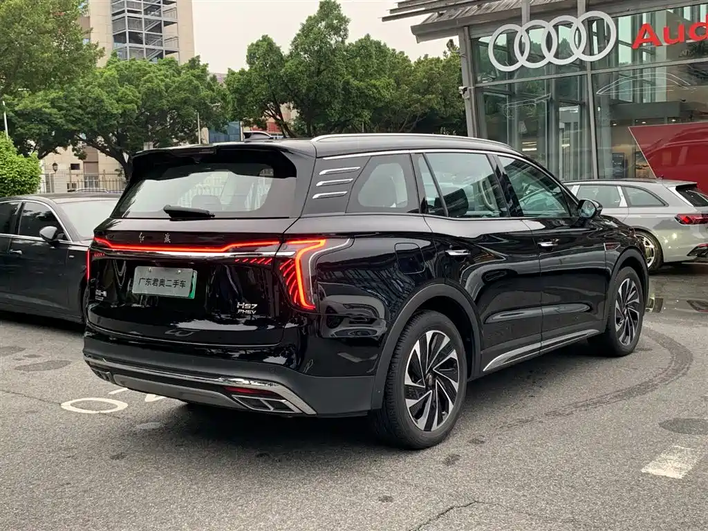 Hongqi HS7 PHEV 2024 — фото 7