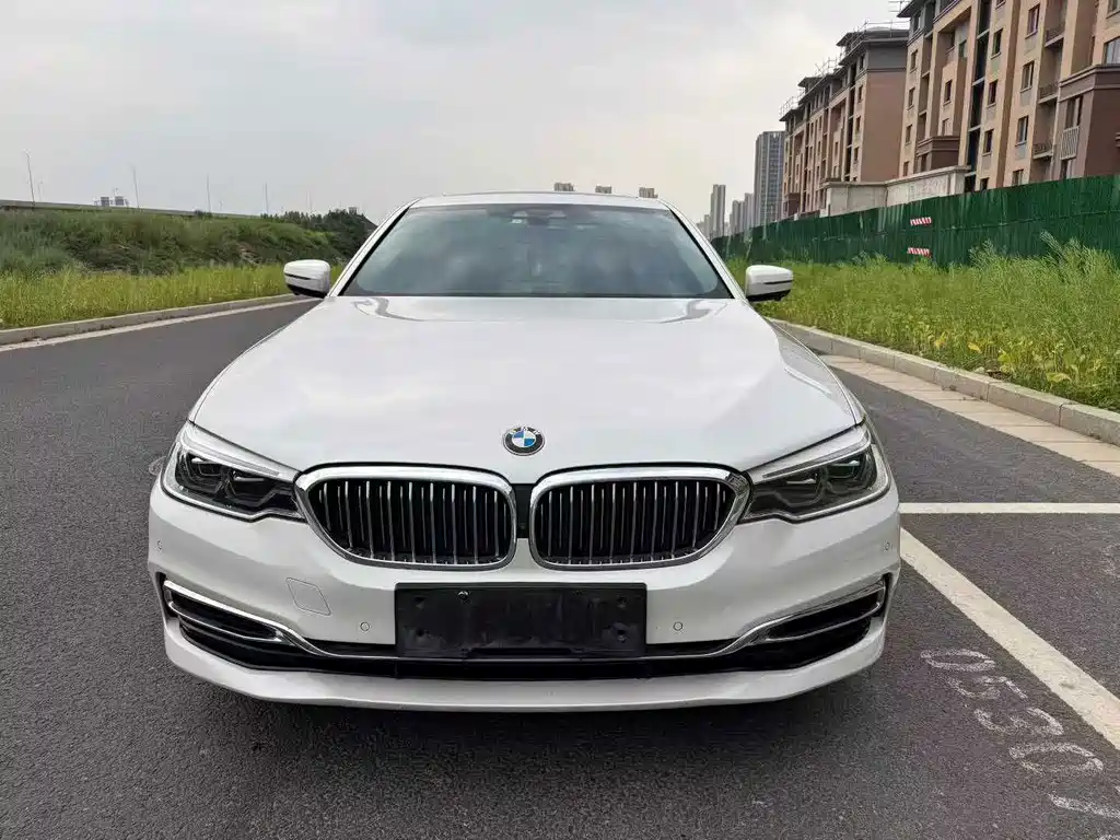 BMW 5 Series New Energy 2020