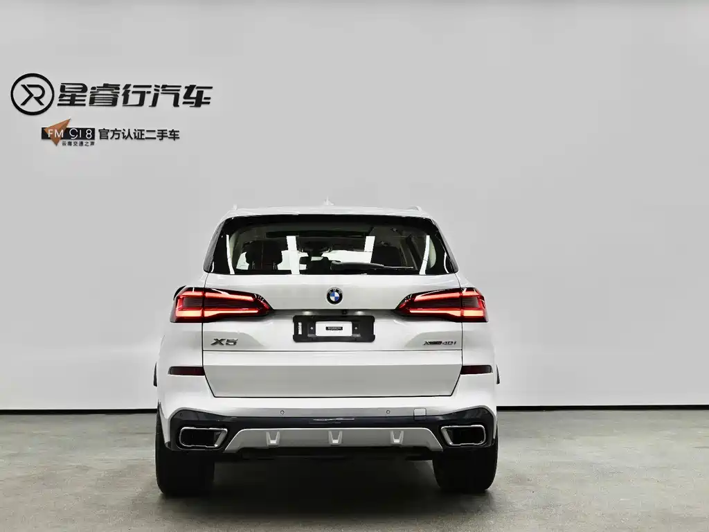 BMW X5 2019 — фото 2