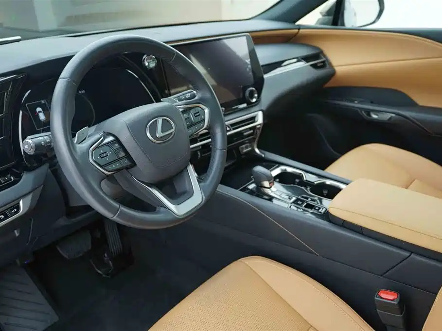 Lexus RX 2024 — фото 10