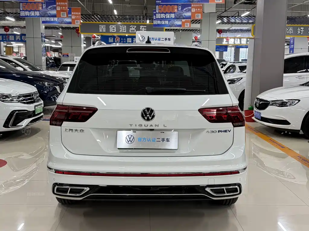 Volkswagen Tiguan L New Energy 2023 — фото 5