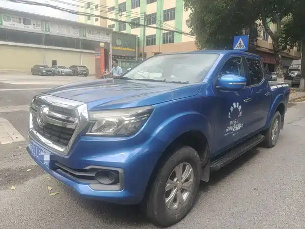 Dongfeng Ruiqi 2019