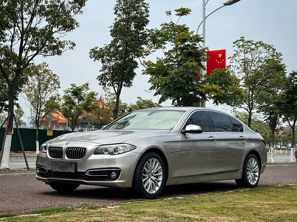 BMW 5 Series 2014 — фото 1