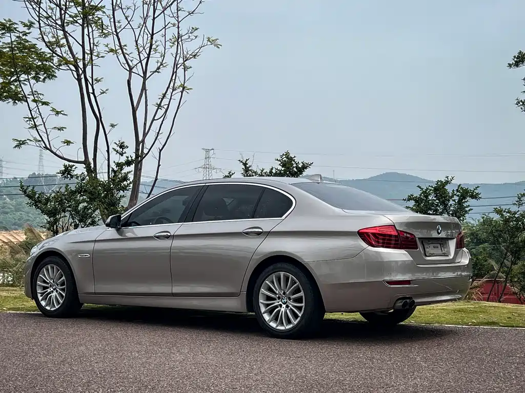 BMW 5 Series 2014 — фото 9