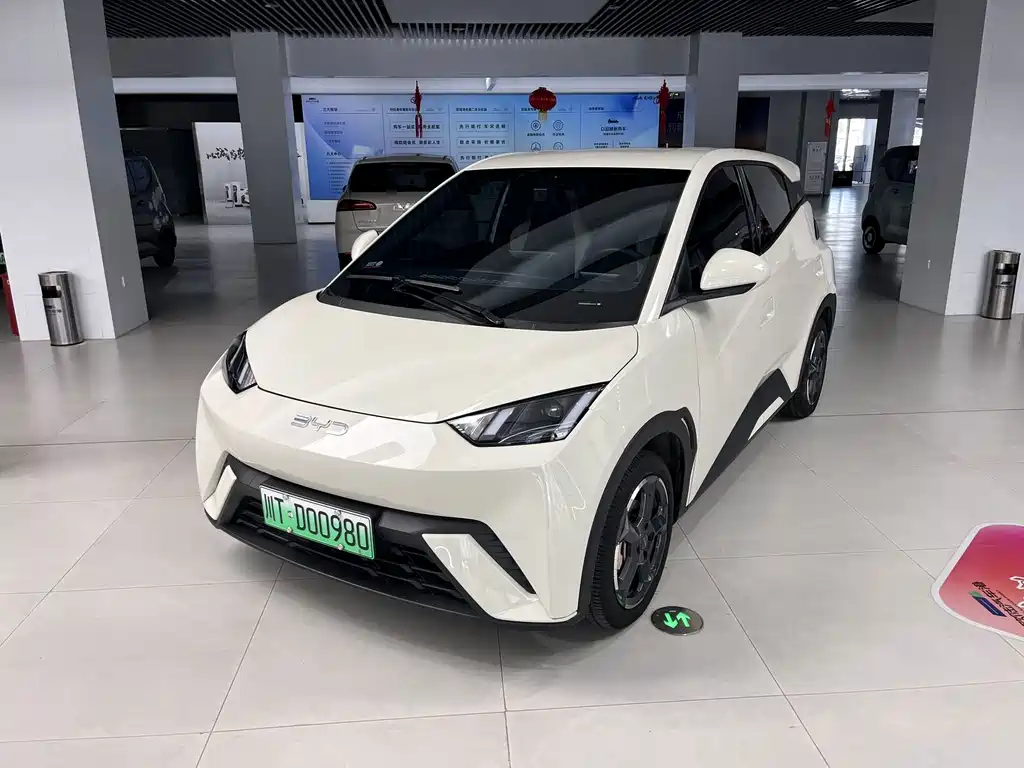 BYD Seagull 2024