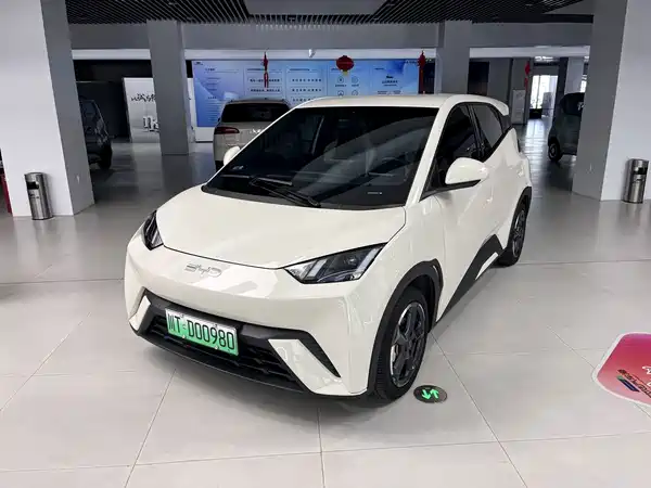BYD Seagull 2024