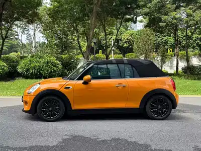 MINI MINI 2017
