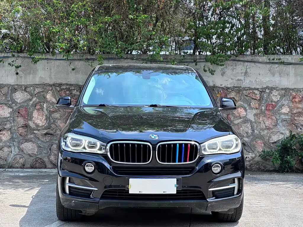 BMW X5 2016 — фото 2