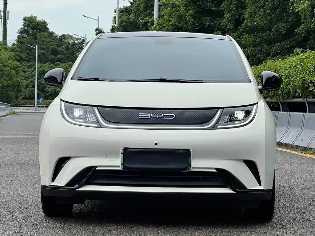 BYD Dolphin 2022