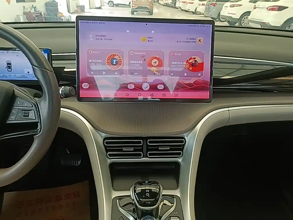 BYD Pro New Energy 2024 — фото 13