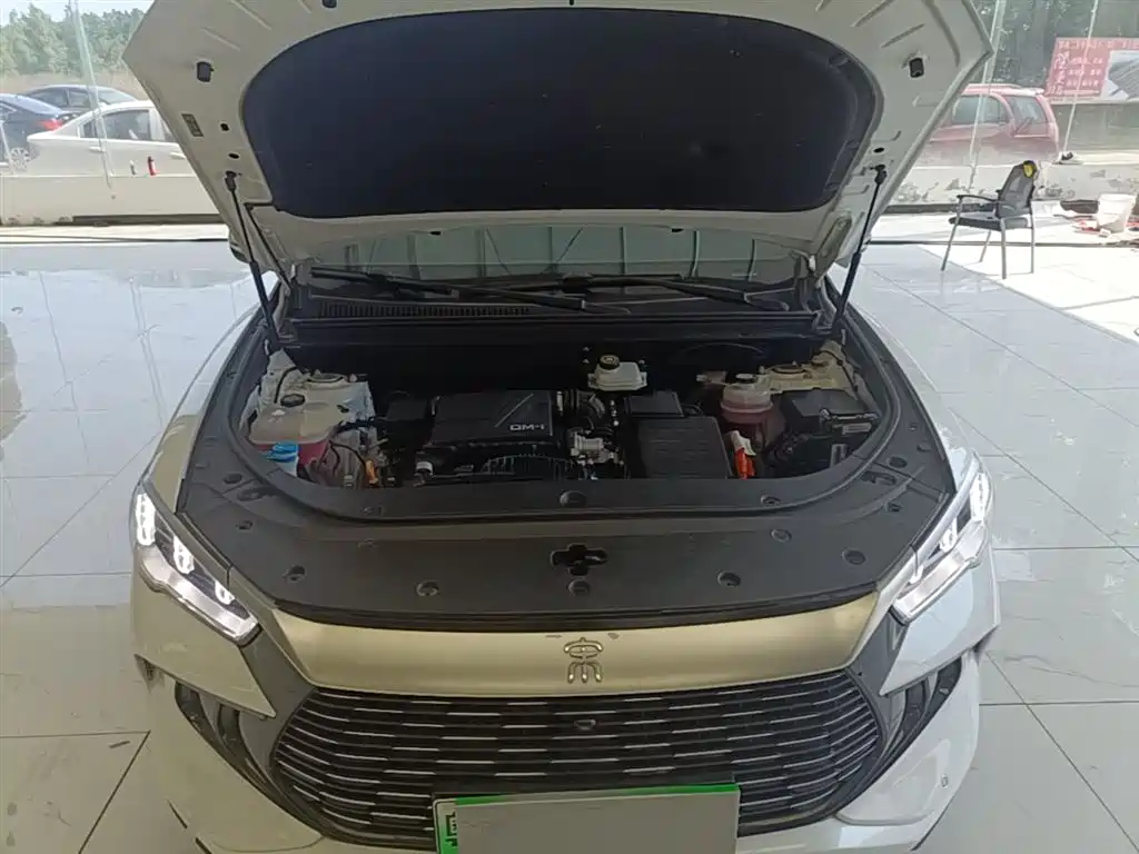 BYD Pro New Energy 2024 — фото 20