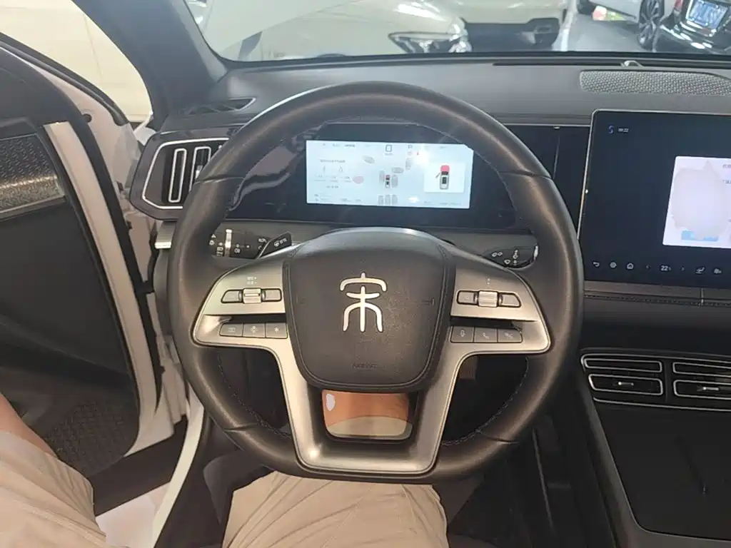 BYD Song Pro New Energy 2025 — фото 11
