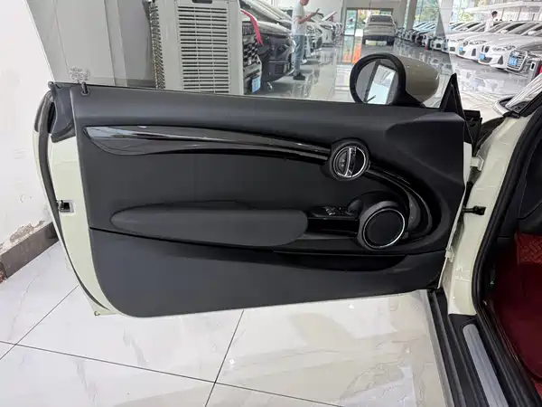 MINI 2021
