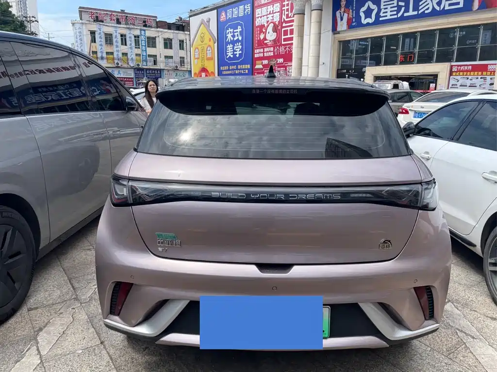 BYD Dolphin 2022