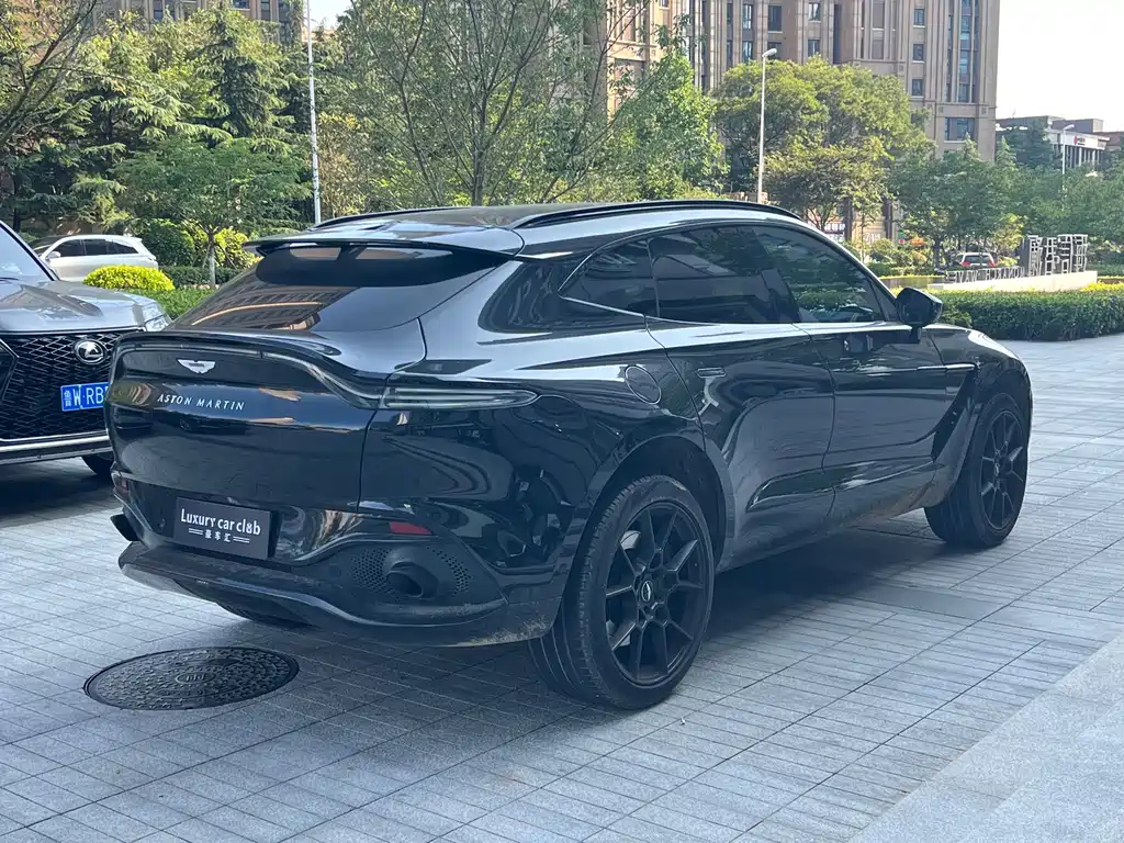 Aston Martin DBX 2021 — фото 5