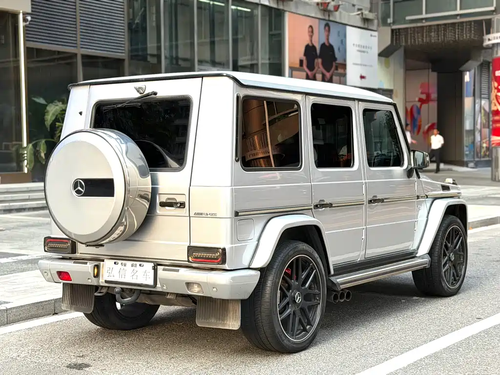Mercedes-Benz G-Class 2010 — фото 14