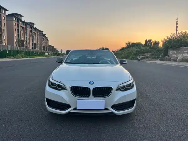 BMW 2 Series 2019