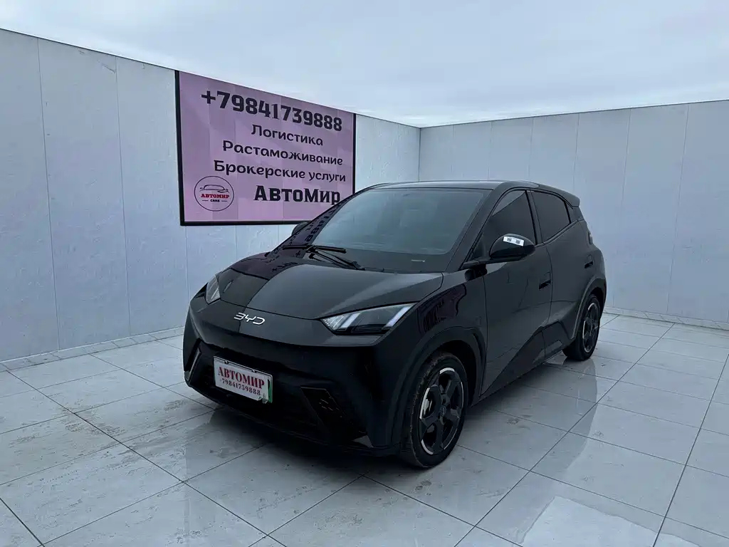 BYD Seagull 2024
