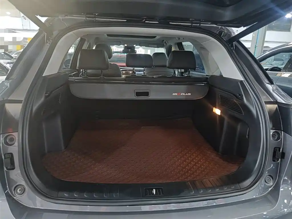GAC Motor GS4 Plus 2022 — фото 19