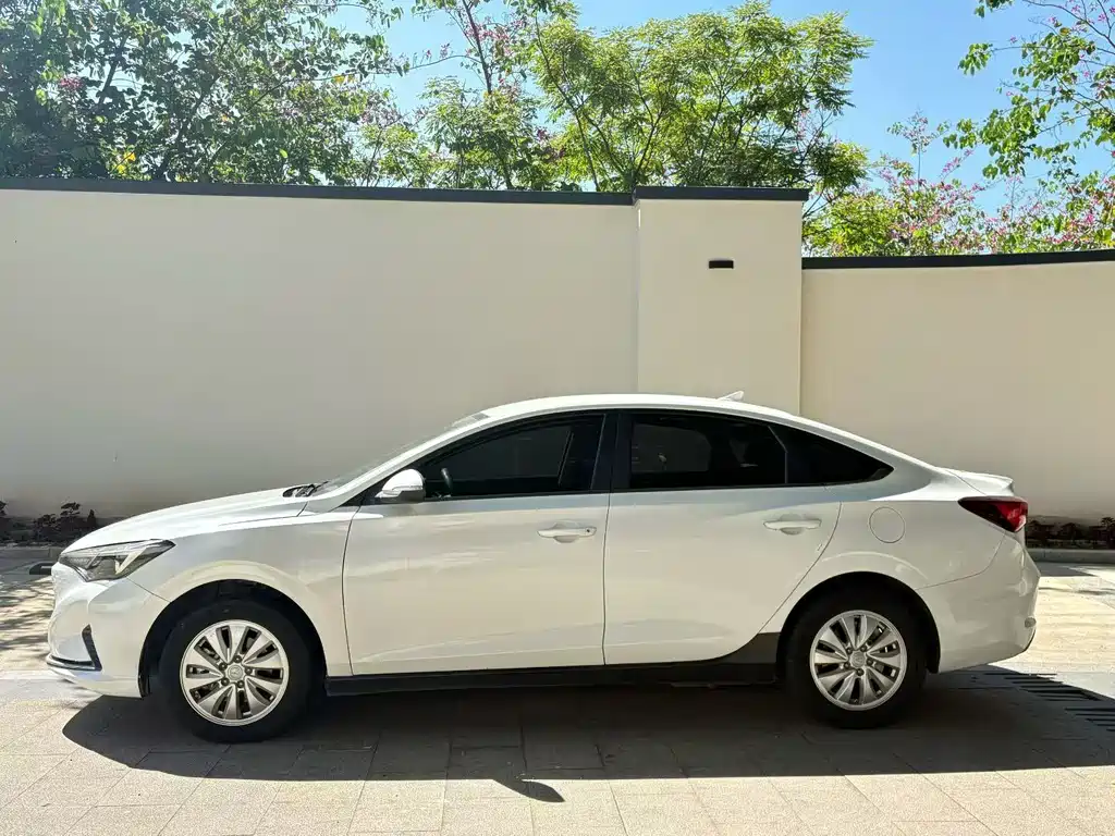 Changan Yidong New Energy 2023