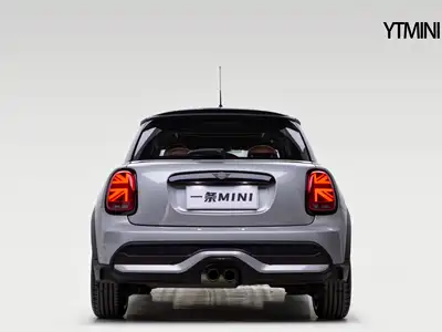 MINI MINI 2024