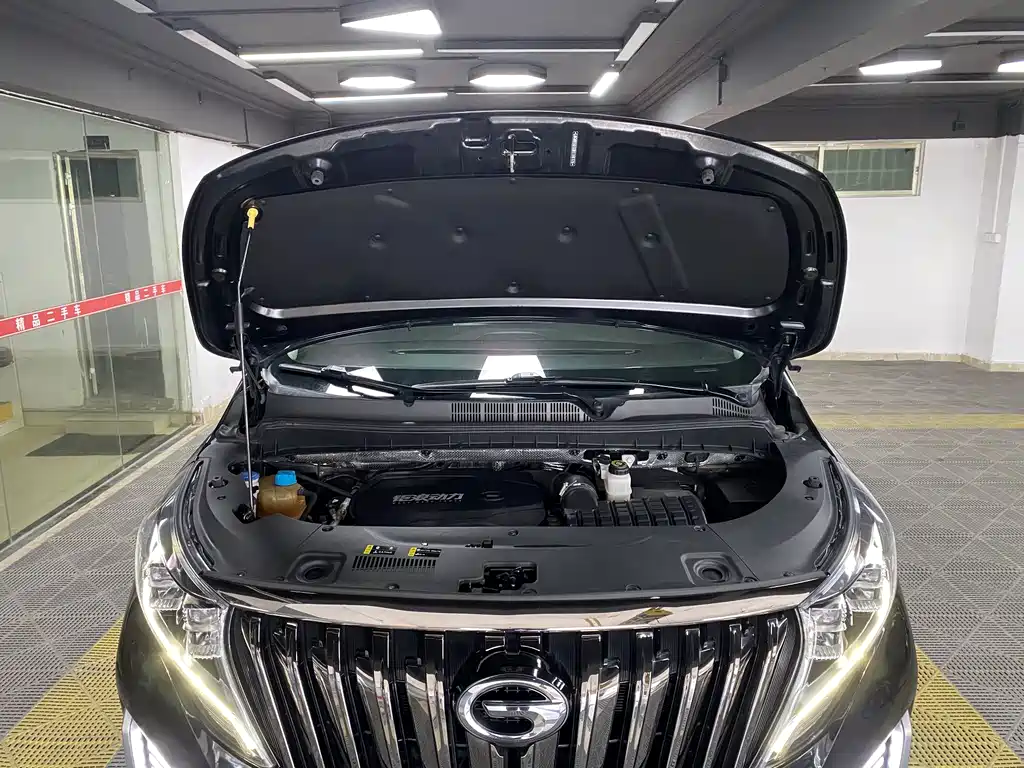 GAC Motor Trumpchi M8 2022 — фото 10